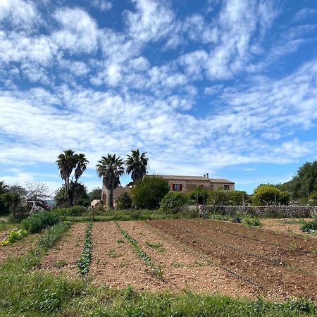 Finca Hotel Ses Cases Noves Sant Llorenc Des Cardassar Kültér fotó