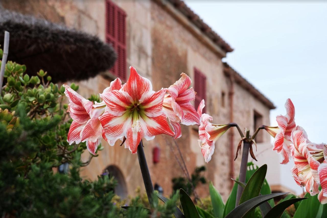 Finca Hotel Ses Cases Noves Sant Llorenc Des Cardassar Kültér fotó