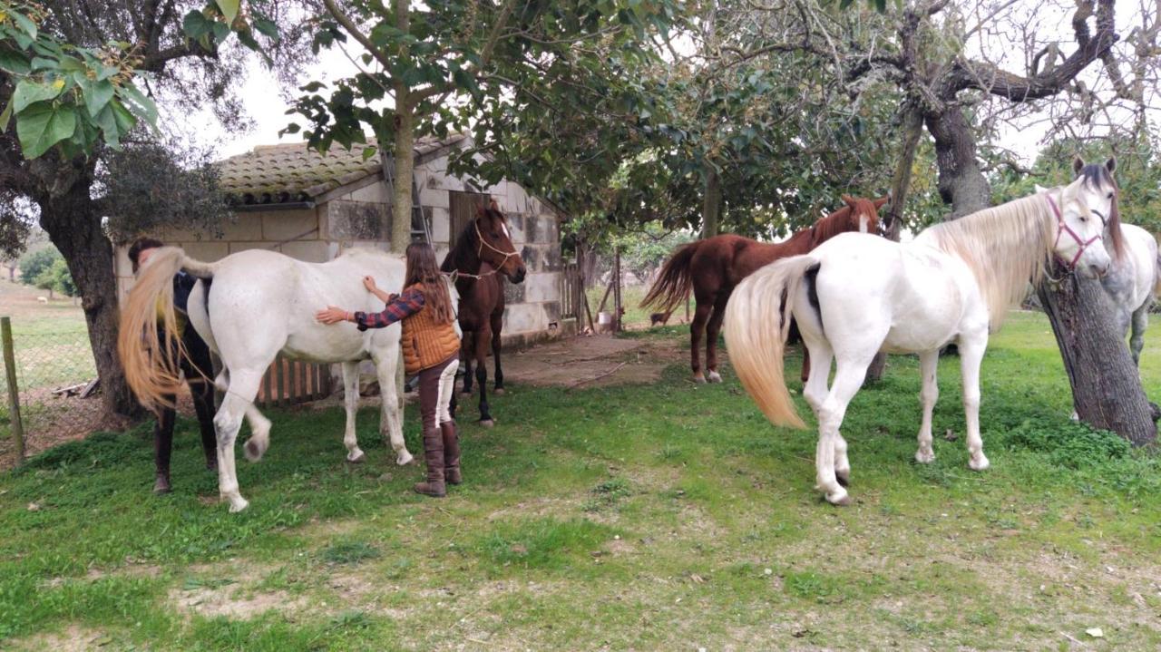 Finca Hotel Ses Cases Noves Sant Llorenc Des Cardassar Kültér fotó