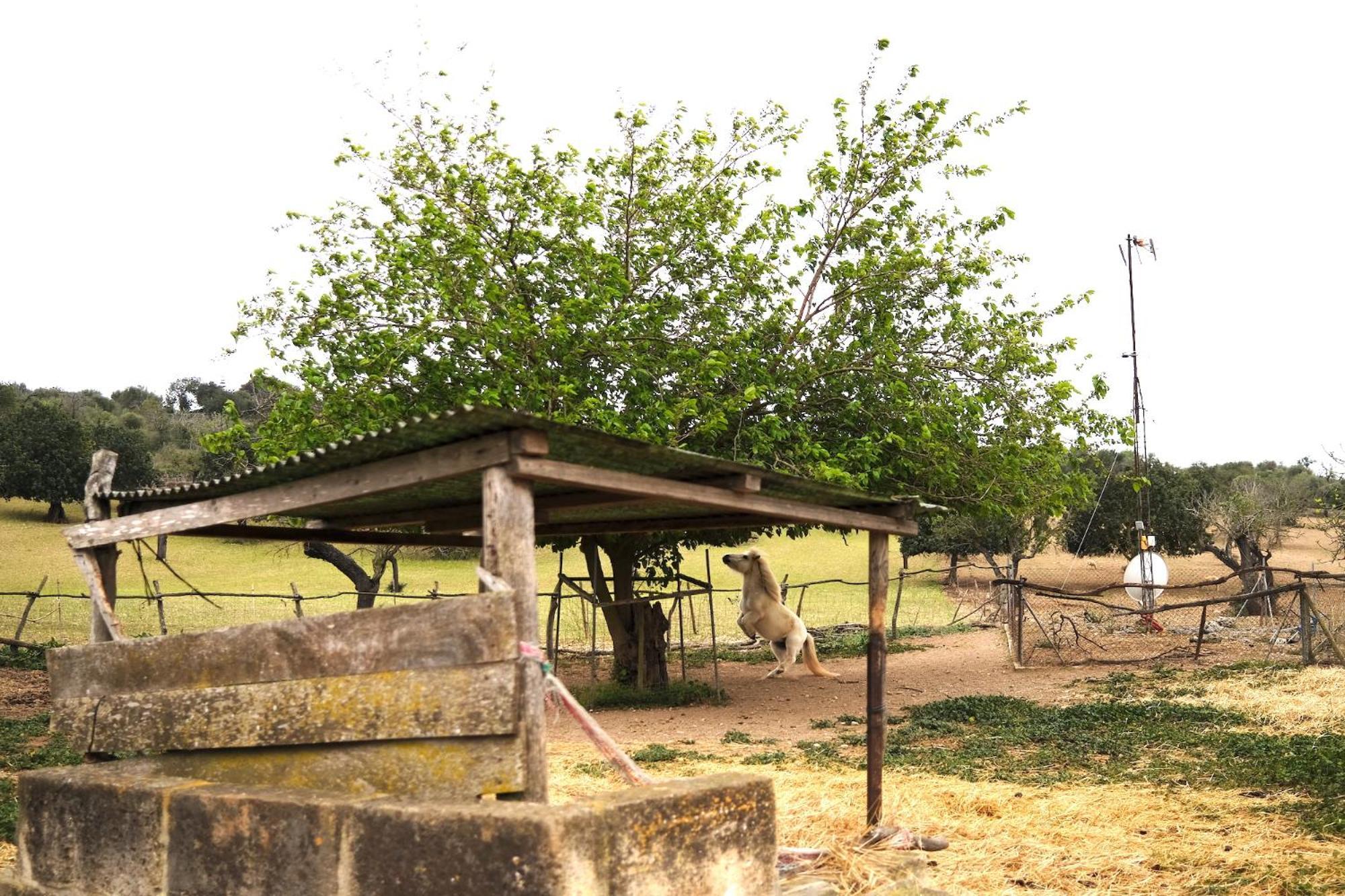 Finca Hotel Ses Cases Noves Sant Llorenc Des Cardassar Kültér fotó