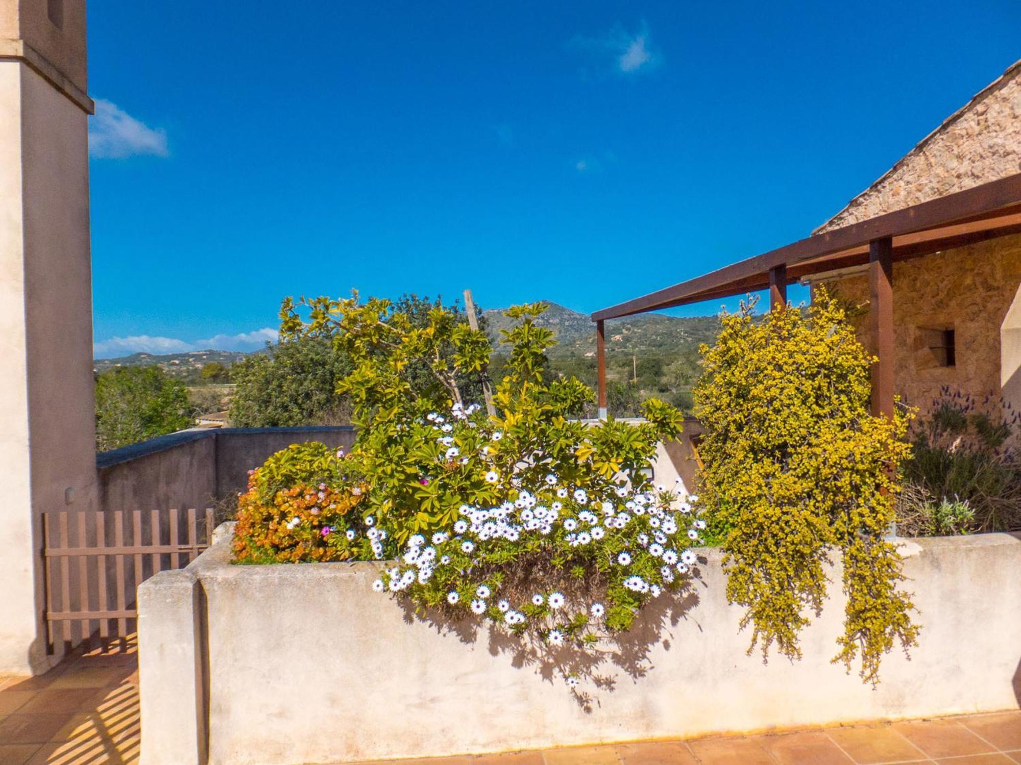 Finca Hotel Ses Cases Noves Sant Llorenc Des Cardassar Szoba fotó