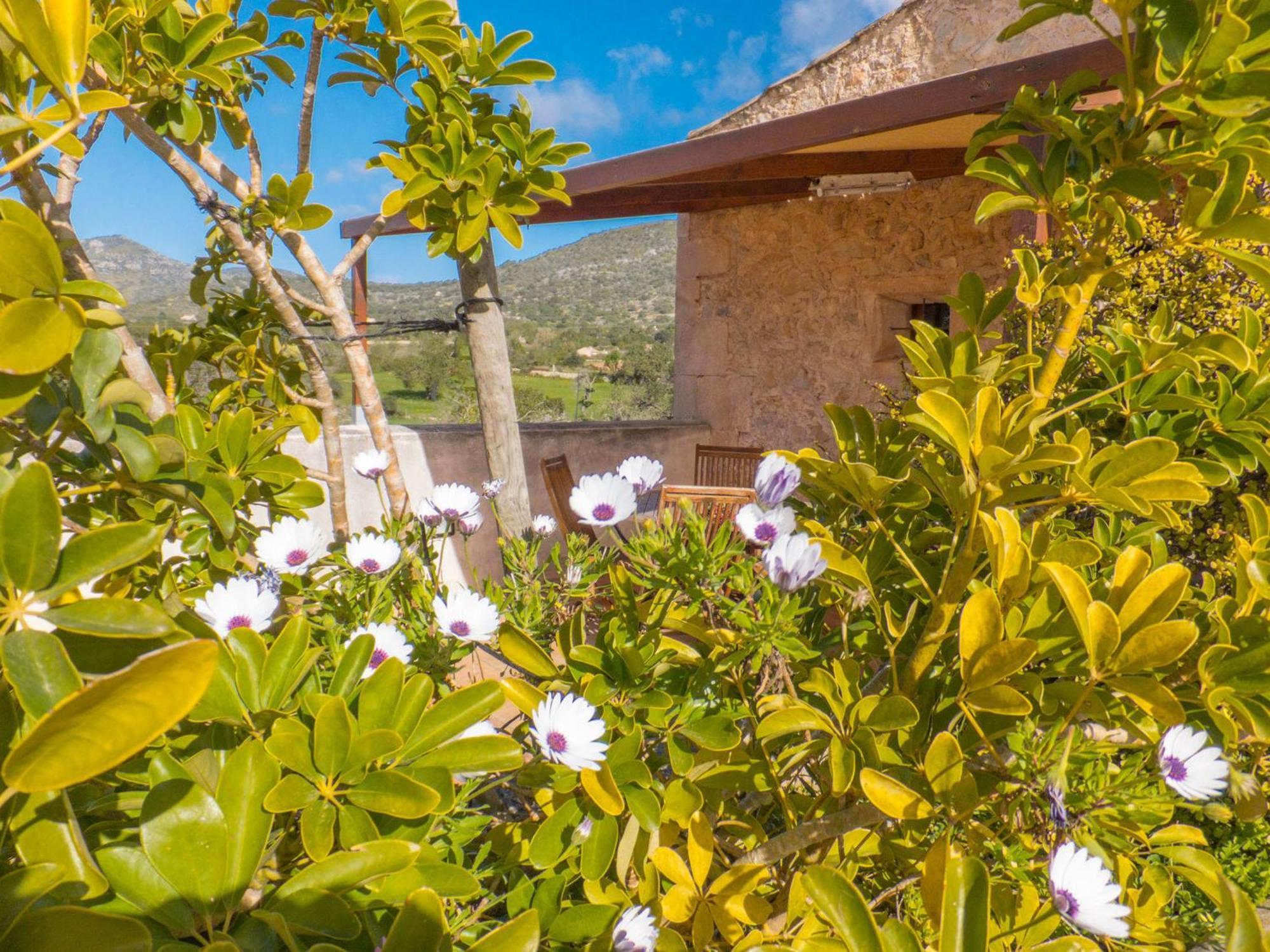 Finca Hotel Ses Cases Noves Sant Llorenc Des Cardassar Szoba fotó